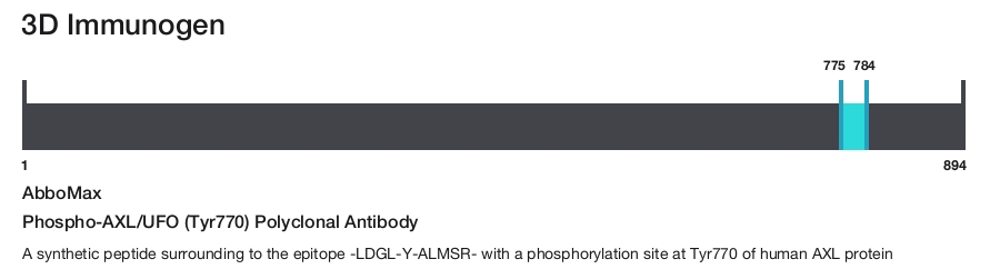 Phospho-AXL/UFO (Tyr770) Polyclonal Antibody
