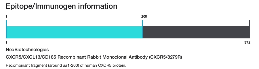 CXCR5/CXCL13/CD185 Recombinant Rabbit Monoclonal Antibody (CXCR5/8279R)