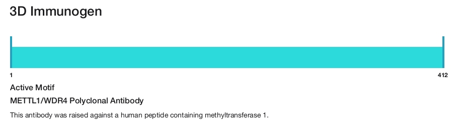 METTL1/WDR4 Polyclonal Antibody