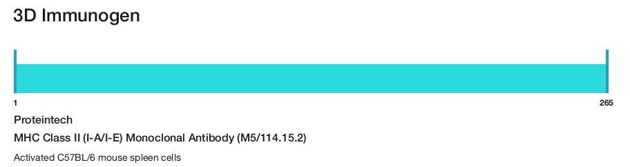 MHC Class II (I-A/I-E) Monoclonal Antibody (M5/114.15.2)
