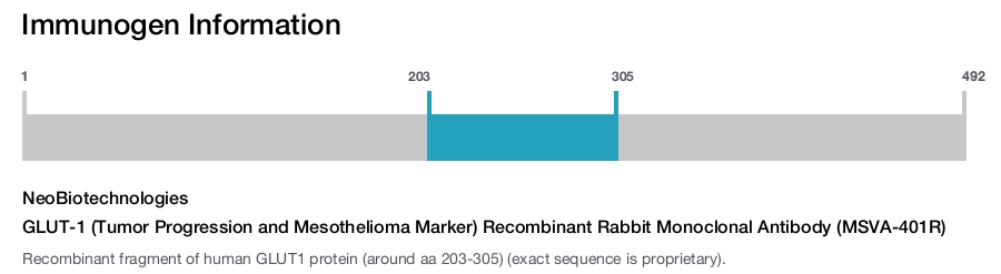 GLUT-1 (Tumor Progression and Mesothelioma Marker) Recombinant Rabbit Monoclonal Antibody (MSVA-401R)