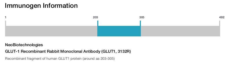 GLUT-1 Recombinant Rabbit Monoclonal Antibody (GLUT1, 3132R)