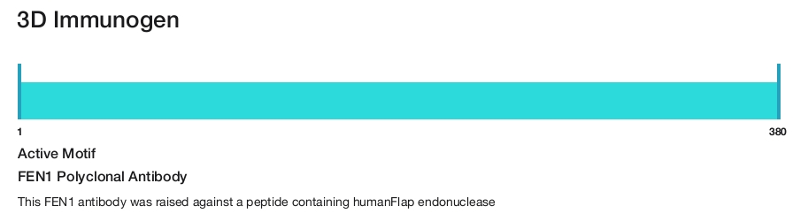 FEN1 Polyclonal Antibody