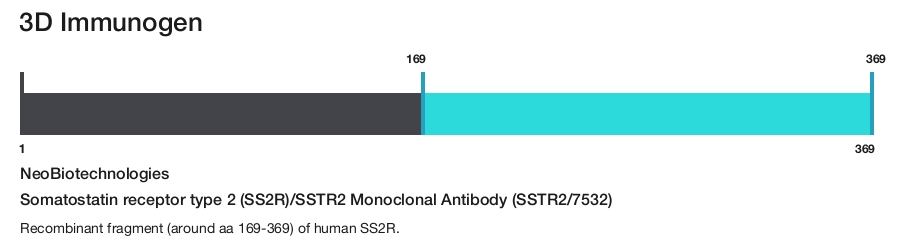 Somatostatin receptor type 2 (SS2R)/SSTR2 Monoclonal Antibody (SSTR2/7532)