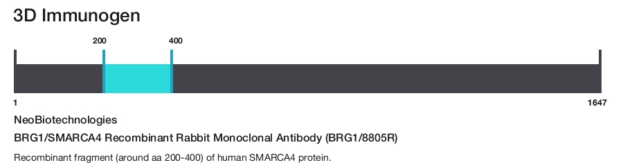 BRG1/SMARCA4 Recombinant Rabbit Monoclonal Antibody (BRG1/8805R)