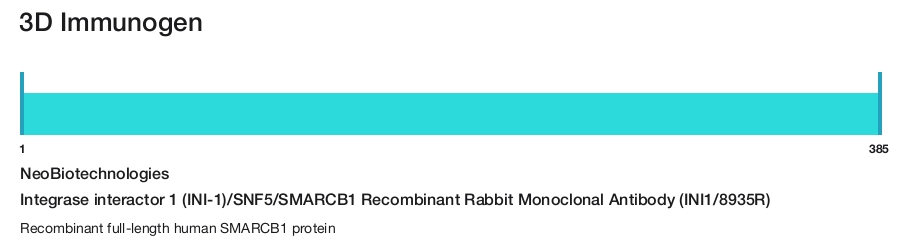 Integrase interactor 1 (INI-1)/SNF5/SMARCB1 Recombinant Rabbit Monoclonal Antibody (INI1/8935R)