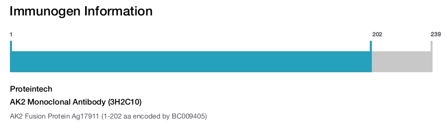 AK2 Monoclonal Antibody (3H2C10)