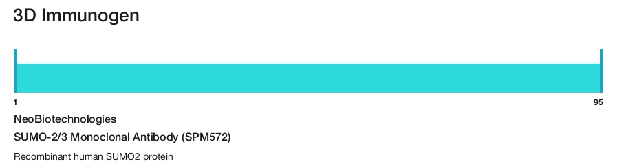 SUMO-2/3 Monoclonal Antibody (SPM572)