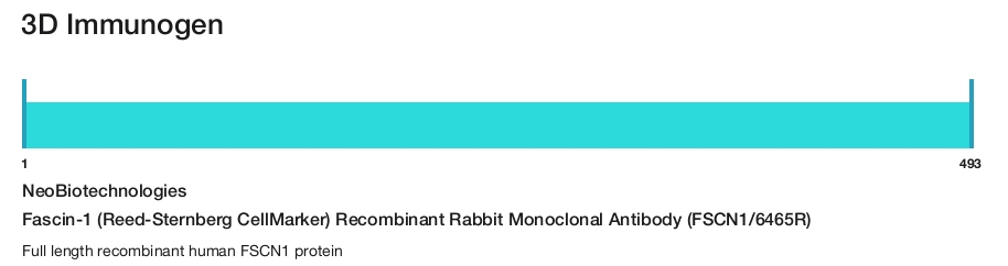 Fascin-1 (Reed-Sternberg CellMarker) Recombinant Rabbit Monoclonal Antibody (FSCN1/6465R)