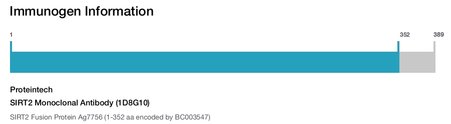 SIRT2 Monoclonal Antibody (1D8G10)