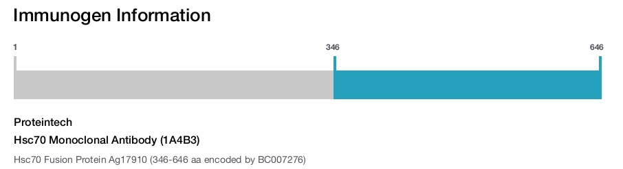 Hsc70 Monoclonal Antibody (1A4B3)