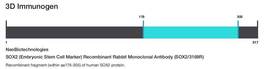 SOX2 (Embryonic Stem Cell Marker) Recombinant Rabbit Monoclonal Antibody (SOX2/3169R)