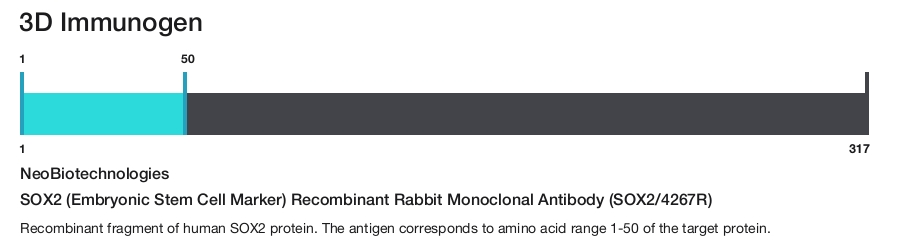 SOX2 (Embryonic Stem Cell Marker) Recombinant Rabbit Monoclonal Antibody (SOX2/4267R)