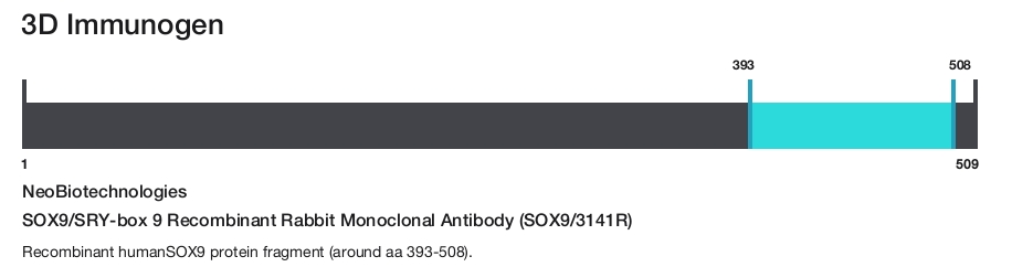 SOX9/SRY-box 9 Recombinant Rabbit Monoclonal Antibody (SOX9/3141R)