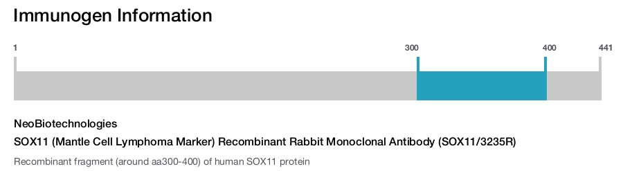 SOX11 (Mantle Cell Lymphoma Marker) Recombinant Rabbit Monoclonal Antibody (SOX11/3235R)