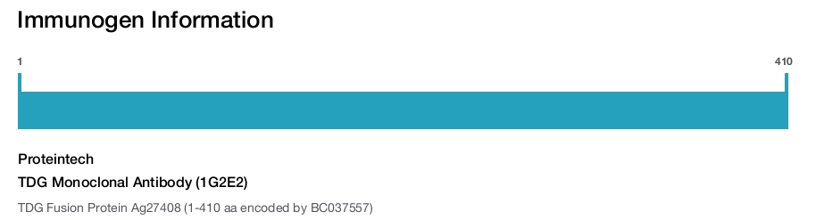 TDG Monoclonal Antibody (1G2E2)