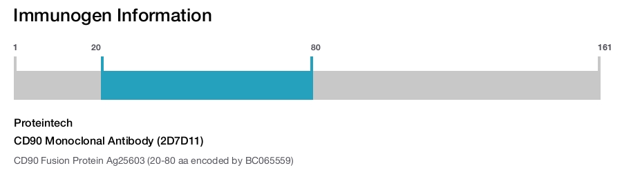 CD90 Monoclonal Antibody (2D7D11)