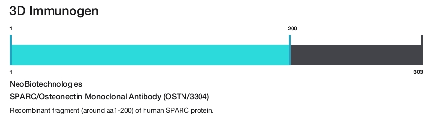SPARC/Osteonectin Monoclonal Antibody (OSTN/3304)
