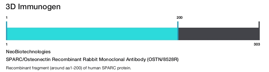 SPARC/Osteonectin Recombinant Rabbit Monoclonal Antibody (OSTN/8528R)