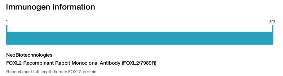 FOXL2 Recombinant Rabbit Monoclonal Antibody (FOXL2/7989R)