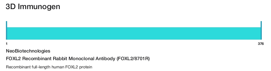 FOXL2 Recombinant Rabbit Monoclonal Antibody (FOXL2/8701R)