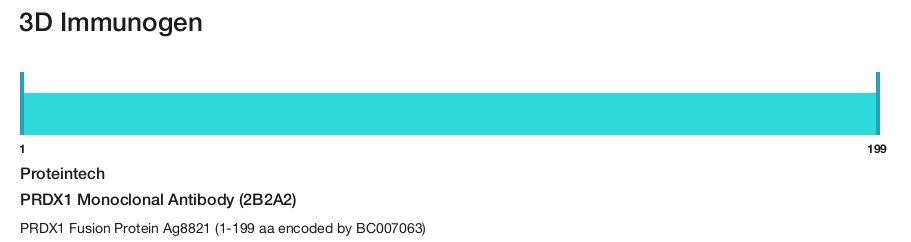 PRDX1 Monoclonal Antibody (2B2A2)