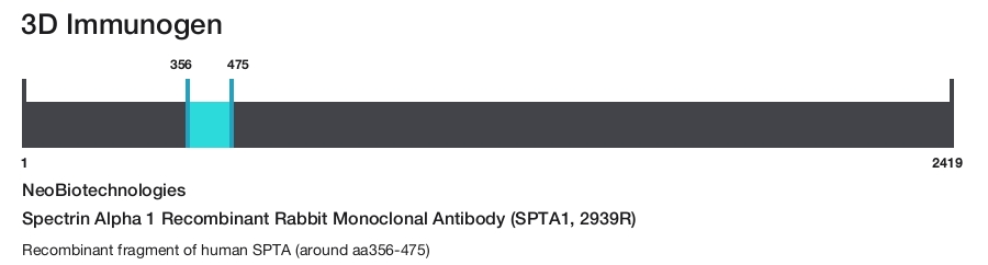 Spectrin Alpha 1 Recombinant Rabbit Monoclonal Antibody (SPTA1, 2939R)