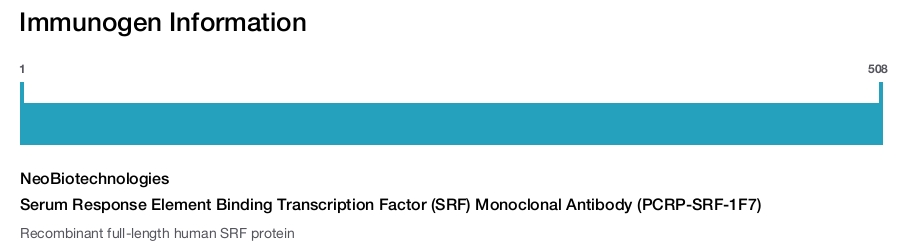 Serum Response Element Binding Transcription Factor (SRF) Monoclonal Antibody (PCRP-SRF-1F7)