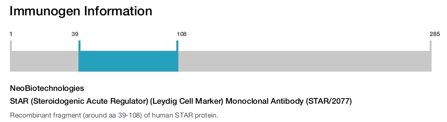 StAR (Steroidogenic Acute Regulator) (Leydig Cell Marker) Monoclonal Antibody (STAR/2077)