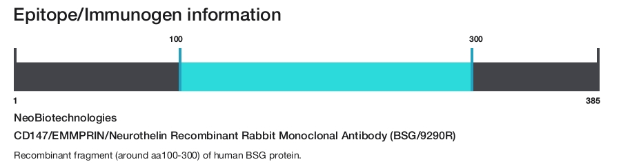 CD147/EMMPRIN/Neurothelin Recombinant Rabbit Monoclonal Antibody (BSG/9290R)