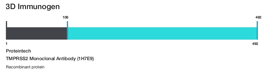 TMPRSS2 Monoclonal Antibody (1H7E9)