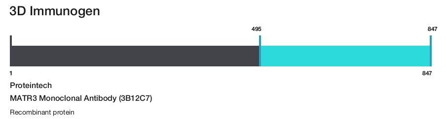 MATR3 Monoclonal Antibody (3B12C7)
