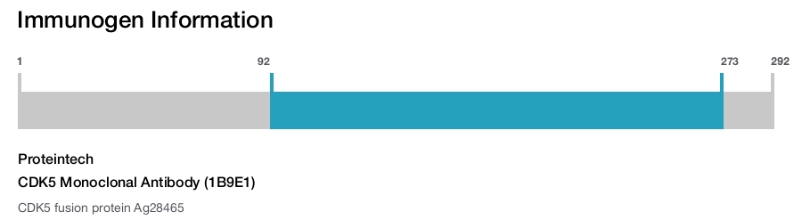 CDK5 Monoclonal Antibody (1B9E1)