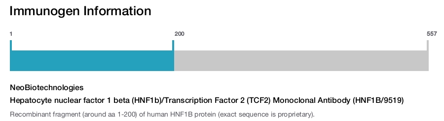 Hepatocyte nuclear factor 1 beta (HNF1b)/Transcription Factor 2 (TCF2) Monoclonal Antibody (HNF1B/9519)