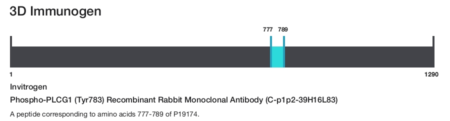 Phospho-PLCG1 (Tyr783) Recombinant Rabbit Monoclonal Antibody (C-p1p2-39H16L83)