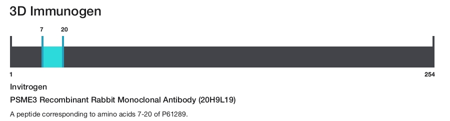 PSME3 Recombinant Rabbit Monoclonal Antibody (20H9L19)