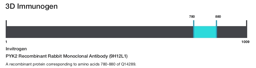 PYK2 Recombinant Rabbit Monoclonal Antibody (9H12L1)