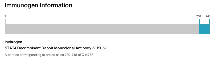 STAT4 Recombinant Rabbit Monoclonal Antibody (2H9L5)