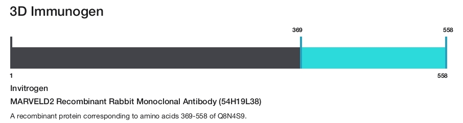 MARVELD2 Recombinant Rabbit Monoclonal Antibody (54H19L38)