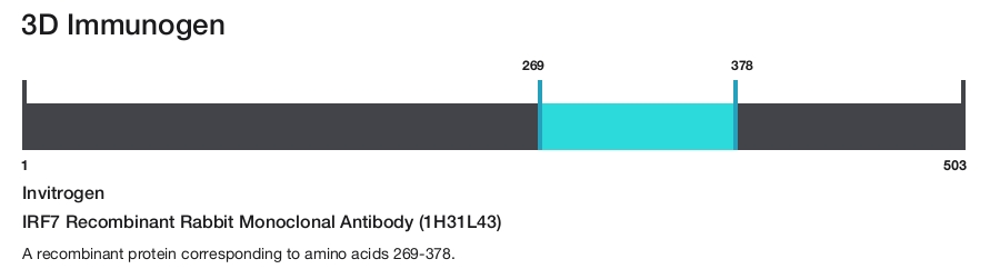 IRF7 Recombinant Rabbit Monoclonal Antibody (1H31L43)