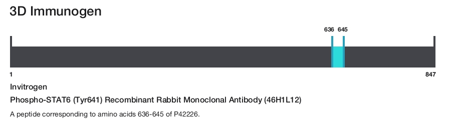 Phospho-STAT6 (Tyr641) Recombinant Rabbit Monoclonal Antibody (46H1L12)