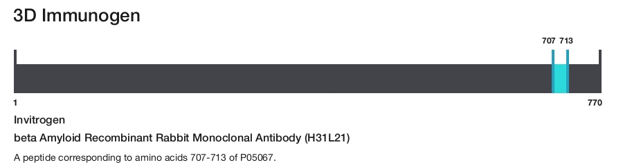 beta Amyloid Recombinant Rabbit Monoclonal Antibody (H31L21)