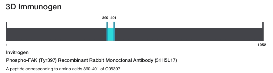 Phospho-FAK (Tyr397) Recombinant Rabbit Monoclonal Antibody (31H5L17)