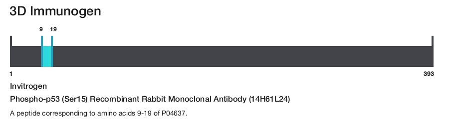 Phospho-p53 (Ser15) Recombinant Rabbit Monoclonal Antibody (14H61L24)