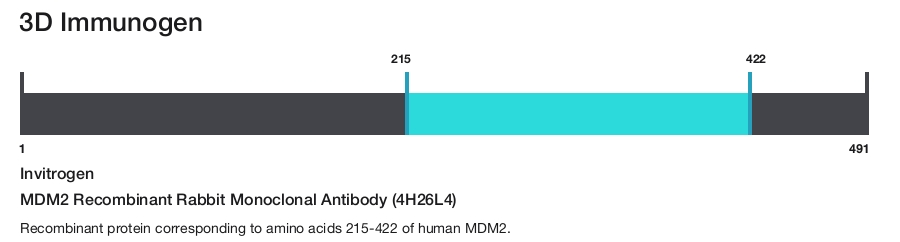 MDM2 Recombinant Rabbit Monoclonal Antibody (4H26L4)
