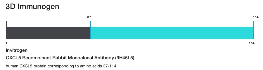CXCL5 Recombinant Rabbit Monoclonal Antibody (9H45L5)
