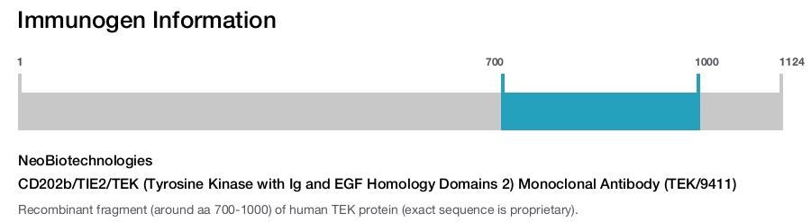 CD202b/TIE2/TEK (Tyrosine Kinase with Ig and EGF Homology Domains 2) Monoclonal Antibody (TEK/9411)
