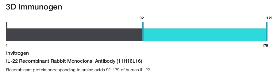 IL-22 Recombinant Rabbit Monoclonal Antibody (11H16L16)