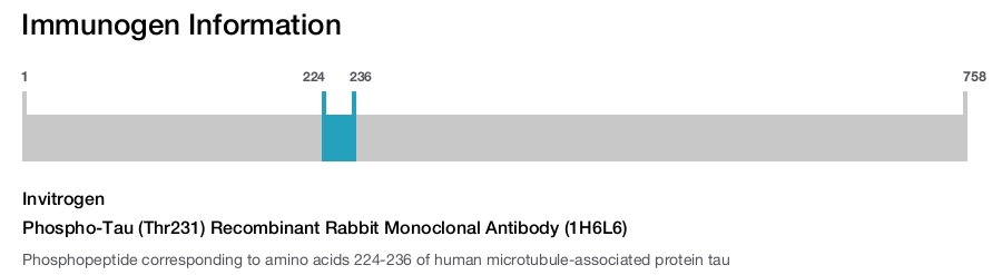 Phospho-Tau (Thr231) Recombinant Rabbit Monoclonal Antibody (1H6L6)