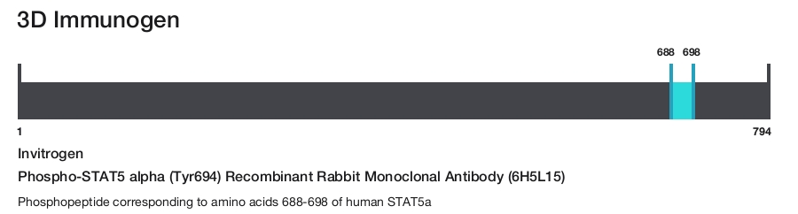 Phospho-STAT5 alpha (Tyr694) Recombinant Rabbit Monoclonal Antibody (6H5L15)